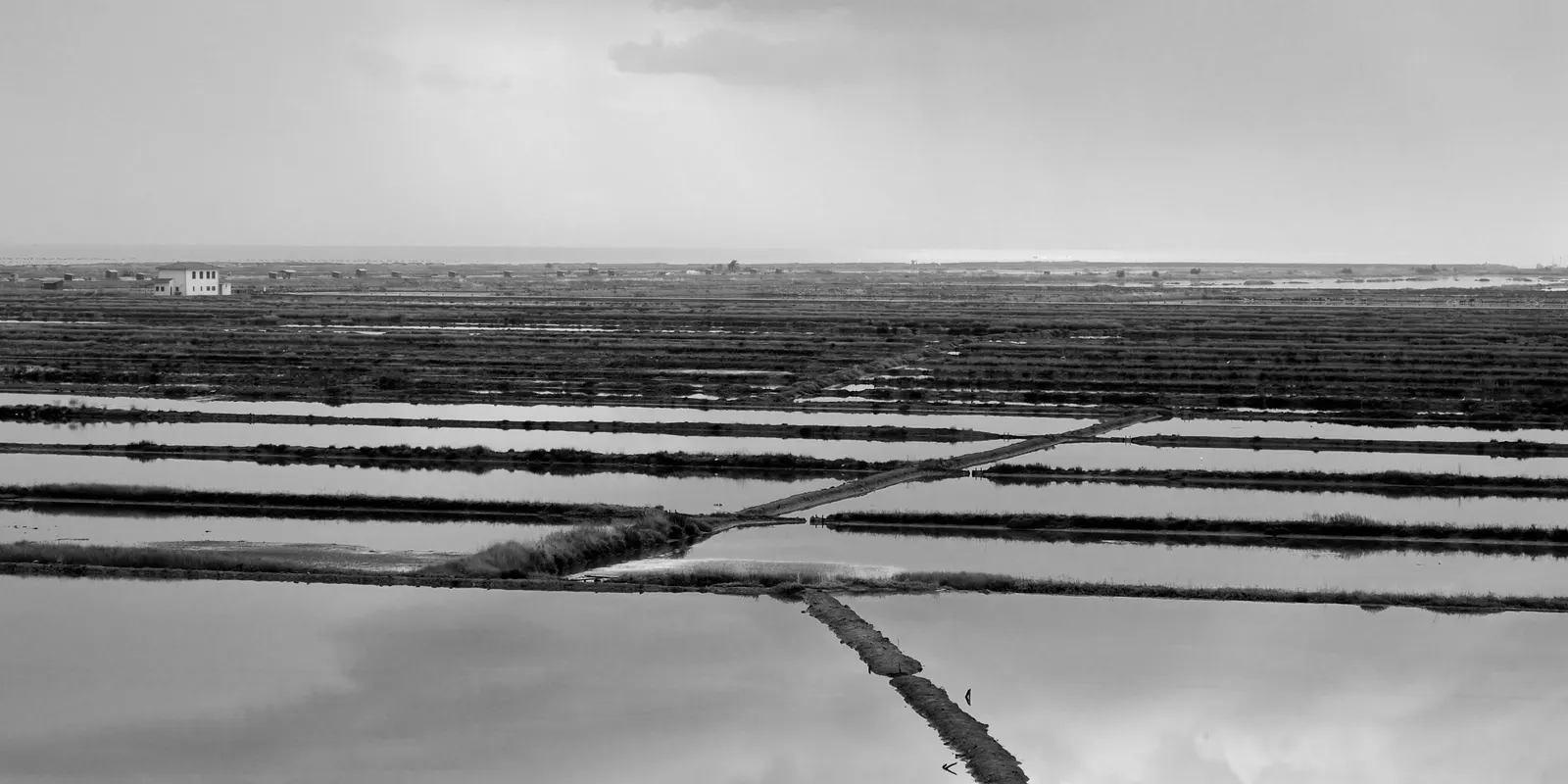 Secovlje Salt Pans